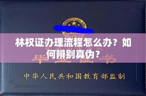 全国林权证办理流程怎么办?如何辨别真伪?